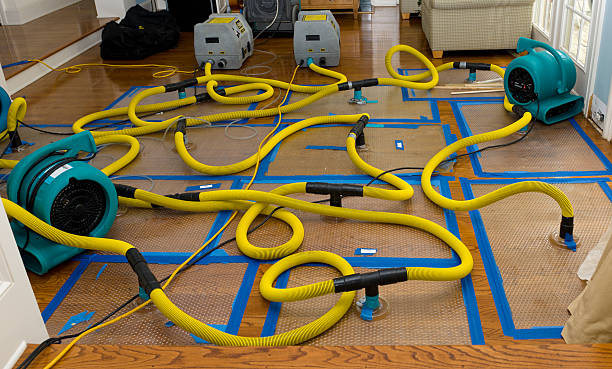 Professional Storm Water Damage Restoration technician working in Gates, OR